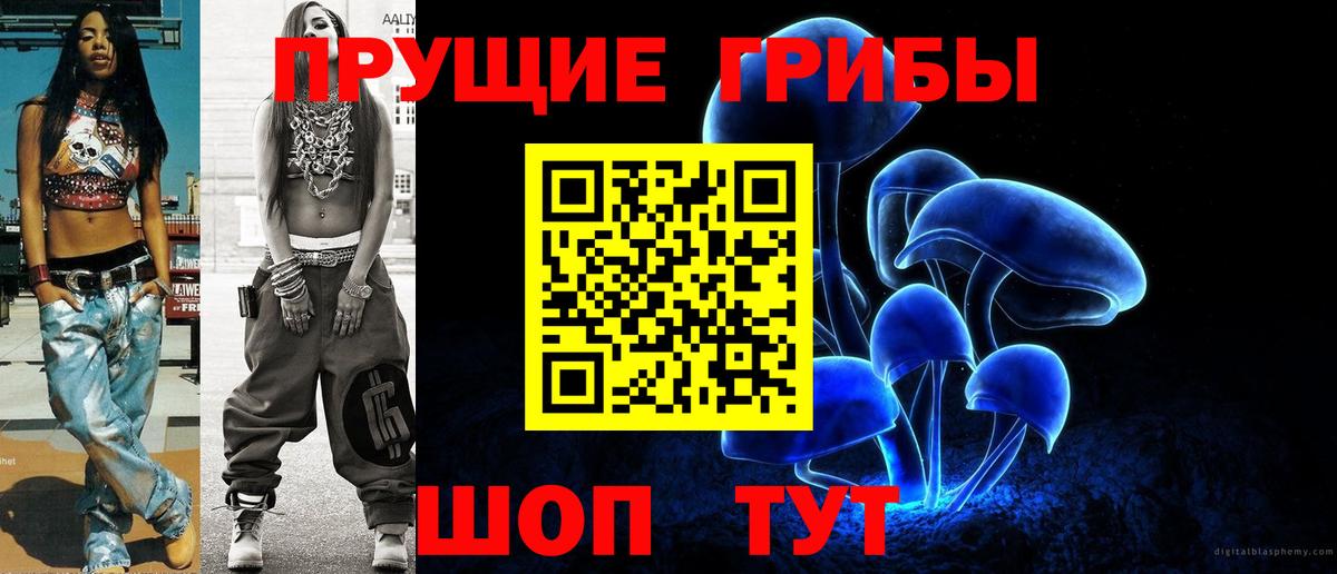 Галлюциногенные грибы Psilocybe  Вход с VPN  Курчалой  Галлюциногенные грибы Psilocybe 